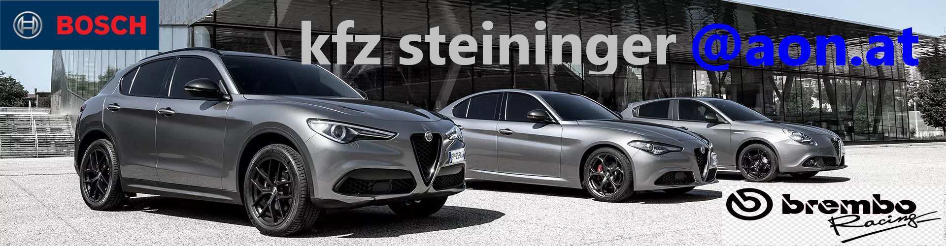 KFZ Steininger Footer